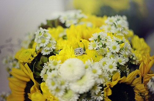 Courtesy of <a class='link-color-green' href='https://www.jdarlingphoto.com'>Jessica Darling Photography</a>