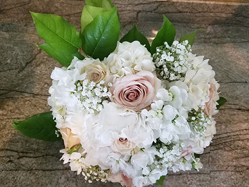 Courtesy of Barb Joseph