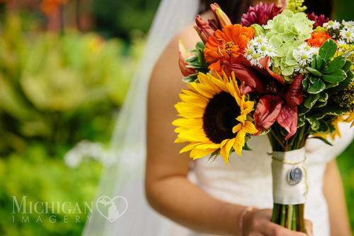 Courtesy of <a class='link-color-green' href='https://www.michiganimagery.com'>Michigan Imagery</a